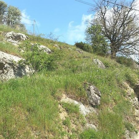 Gite Les Cadichons De La Grange Saint-Peray Exterior photo
