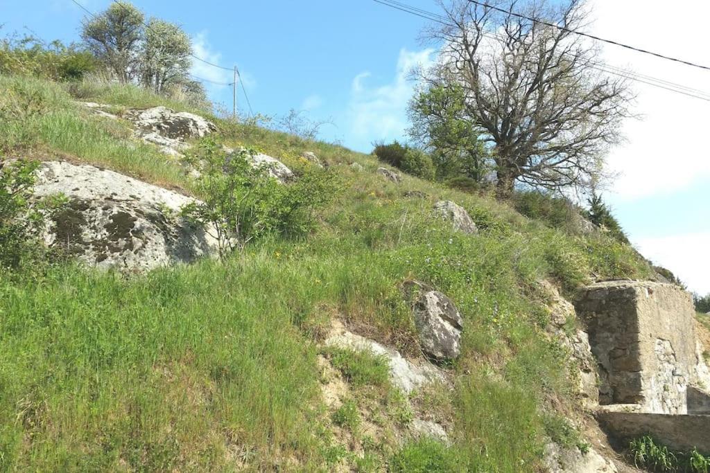 Gite Les Cadichons De La Grange Saint-Peray Exterior photo